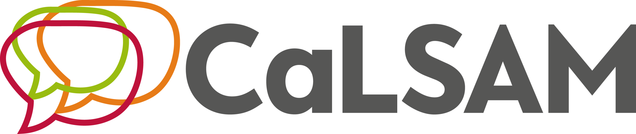 CaLSAM